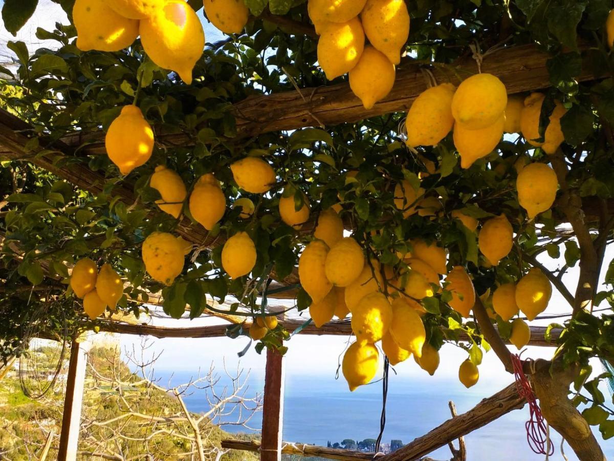 Amalfi Sea View Villa Scala Kültér fotó